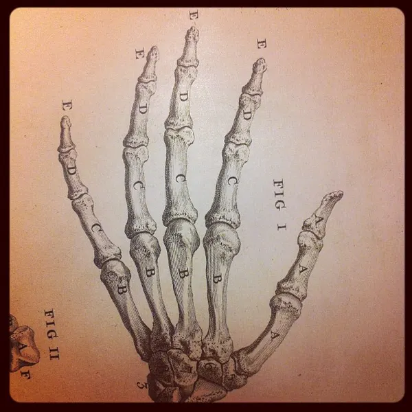 maryjoytattoo
