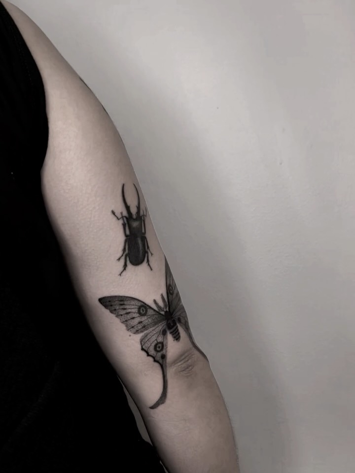 noia_________