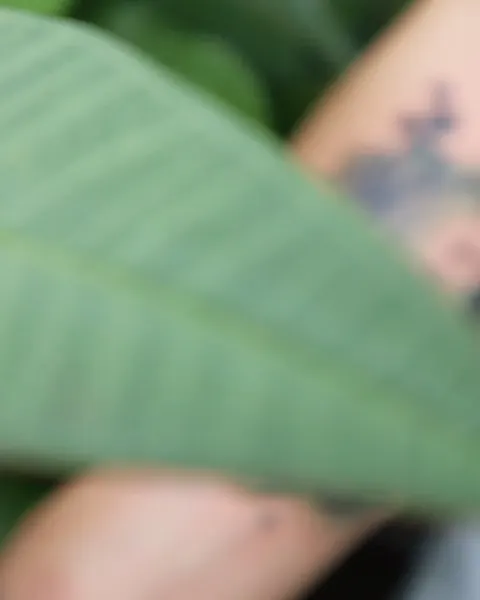 siren_ink