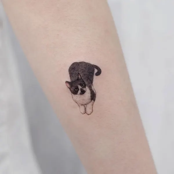 paw.tattoo