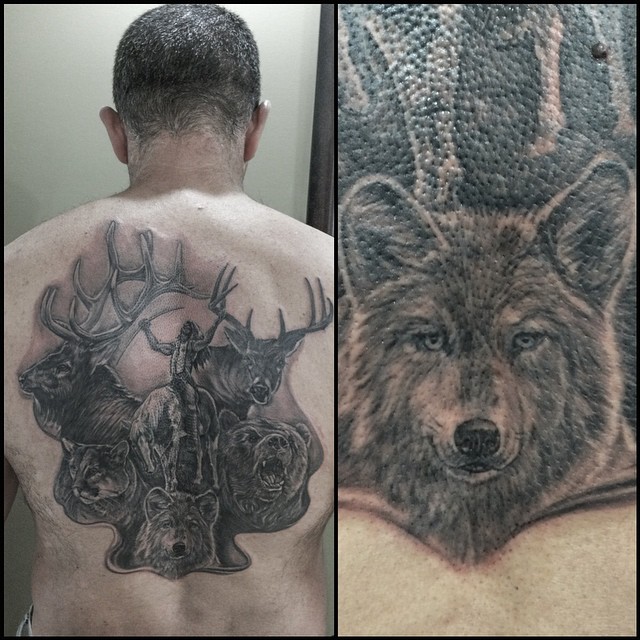 Animal