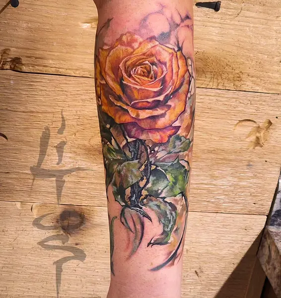 Flower, Rose