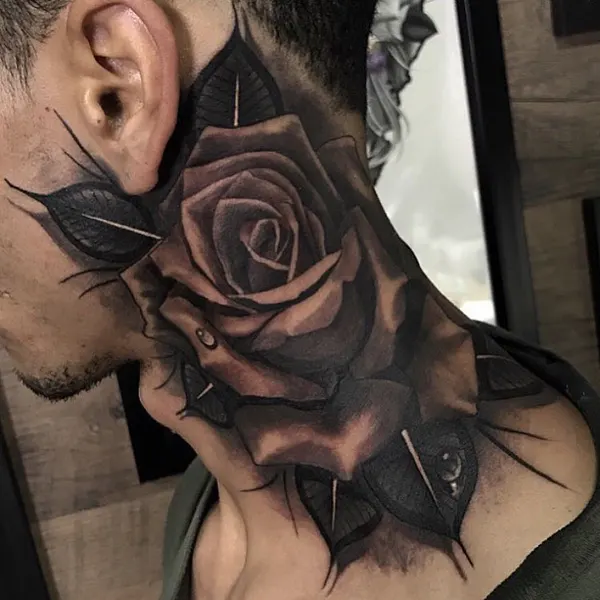 Flower, Rose, Nature