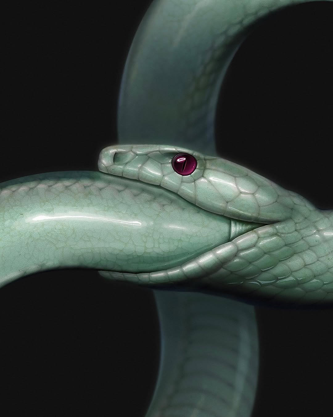 Animal, Snake