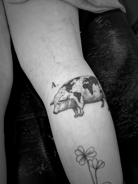 Animal, 돼지