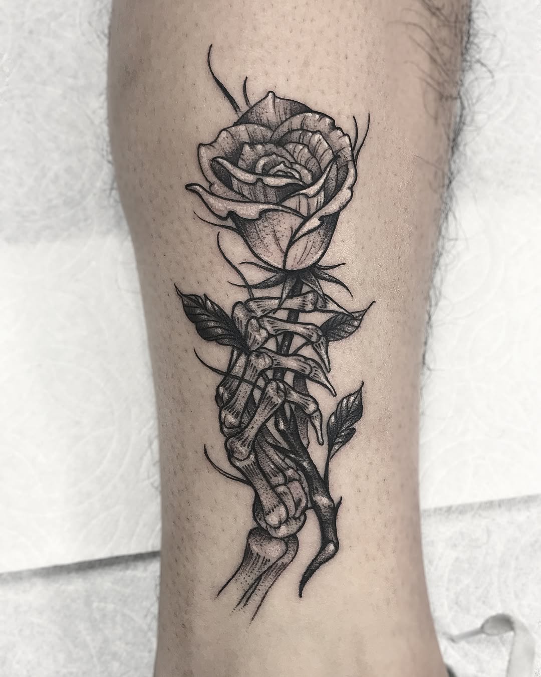 Flower, Rose