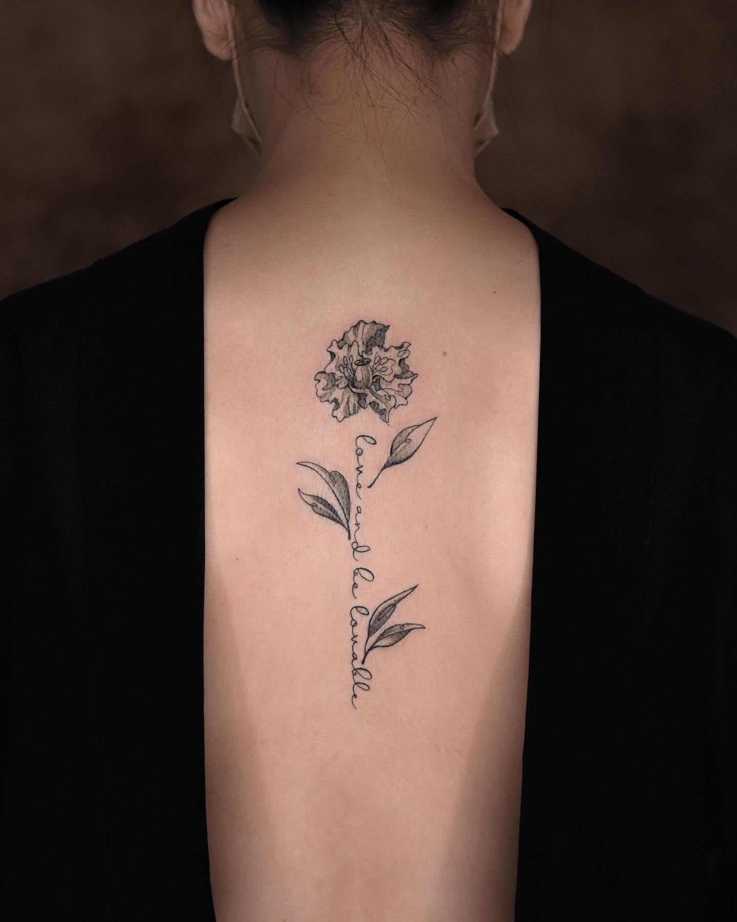 Flower, Nature, Rose