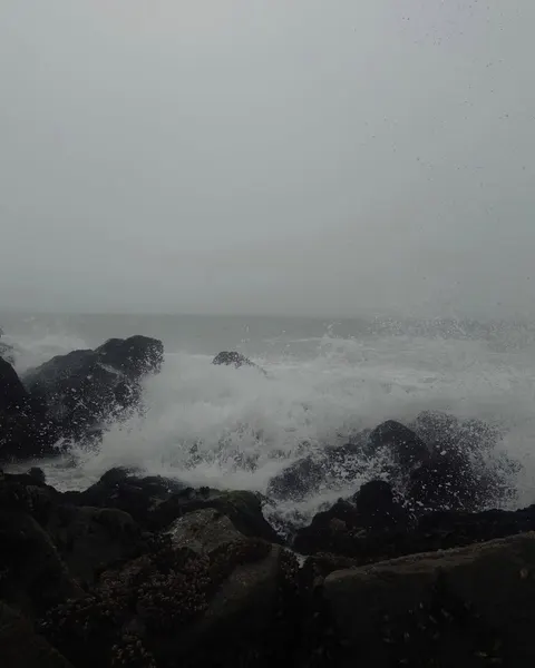 ponywave