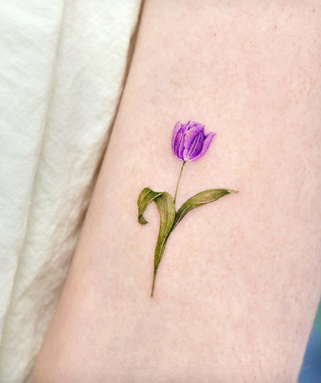 Flower, 튤립