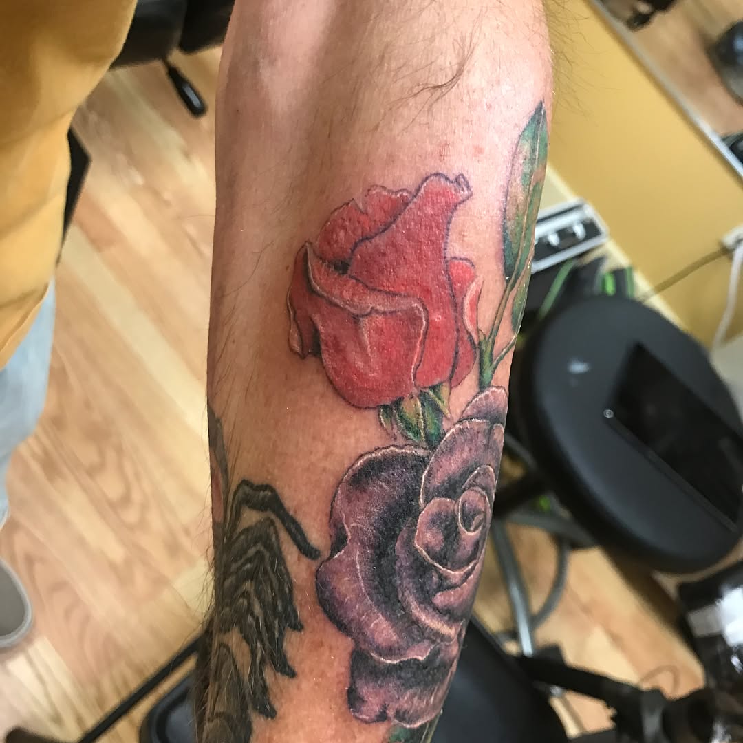 Flower, Rose