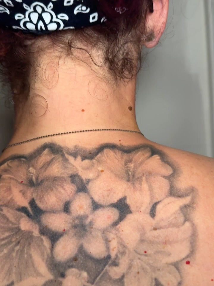 Flower, Nature, Rose