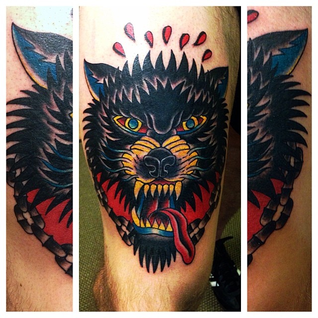Tiger, Animal