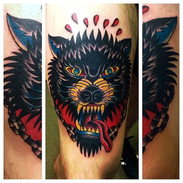Tiger, Animal