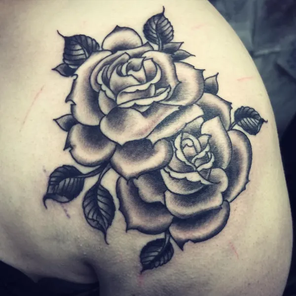 Flower, Rose, Nature