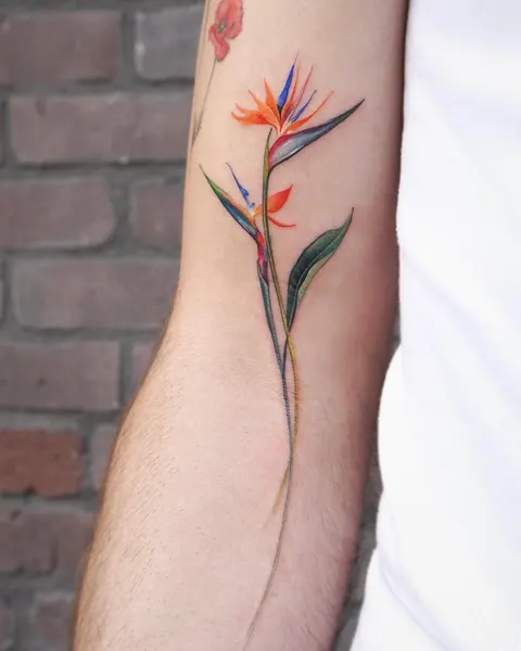 Animal, Flower, Nature