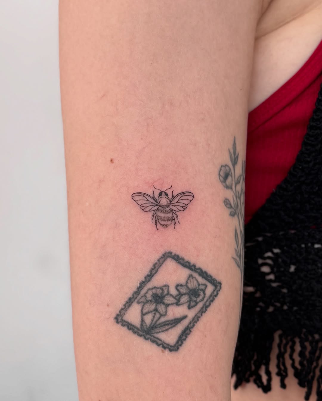 miaa_tattat