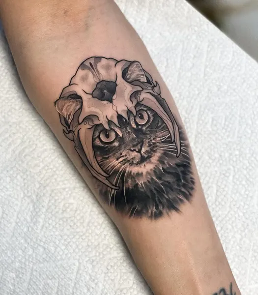 Animal, Tiger