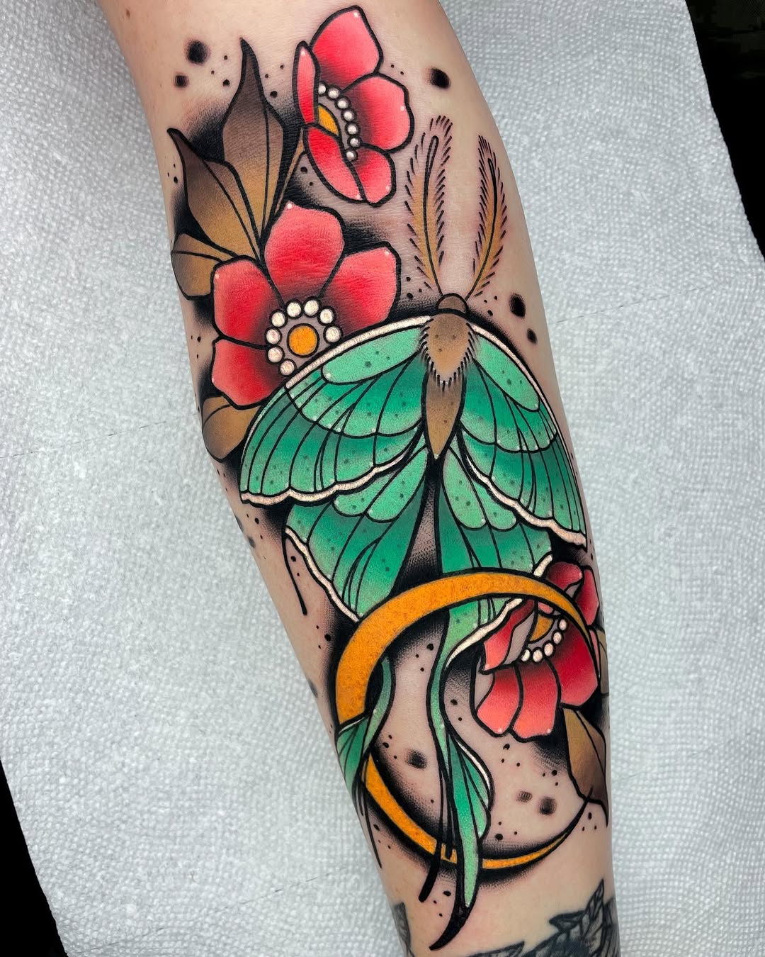 Animal, Nature, Flower