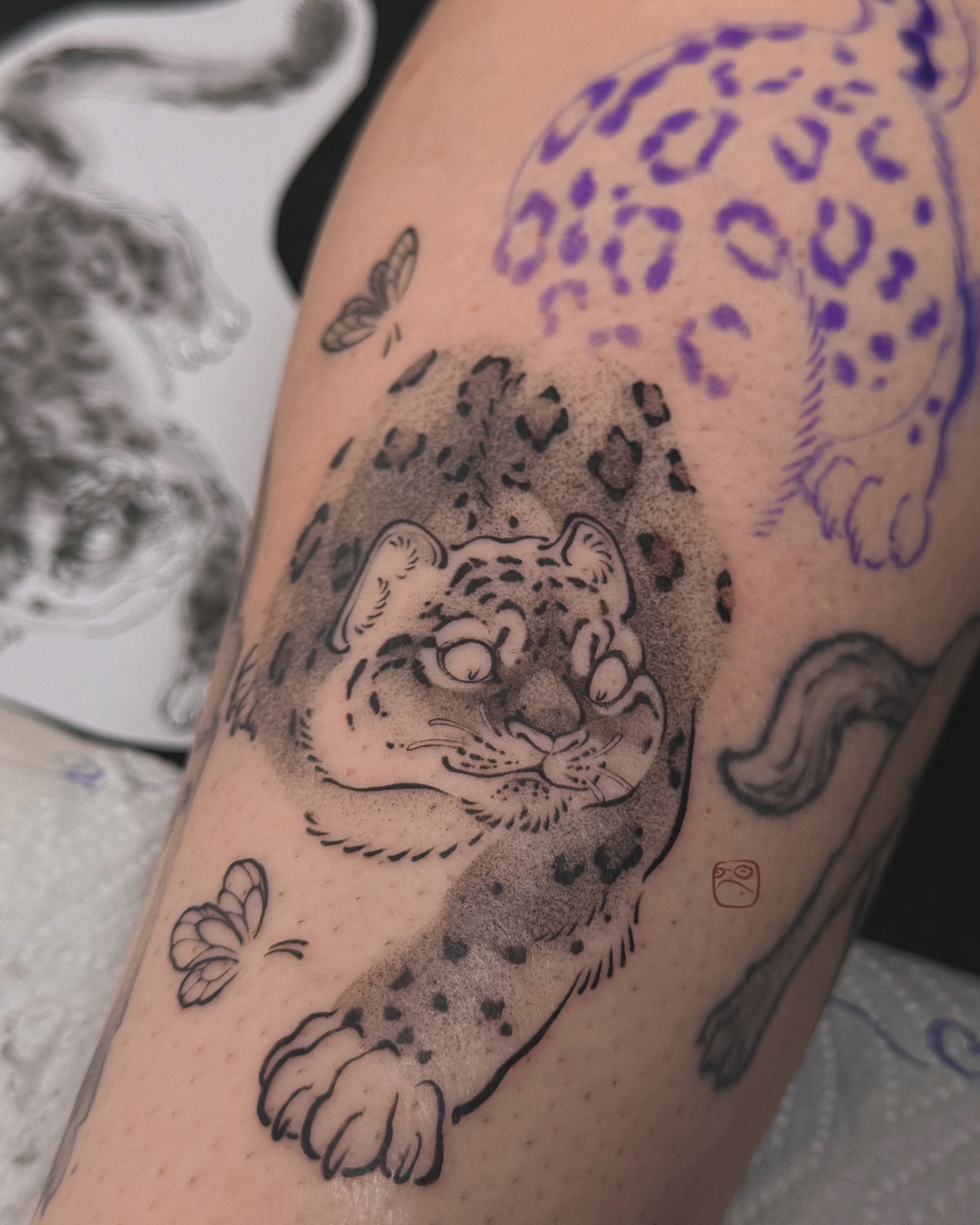 Tiger, Animal, 표범
