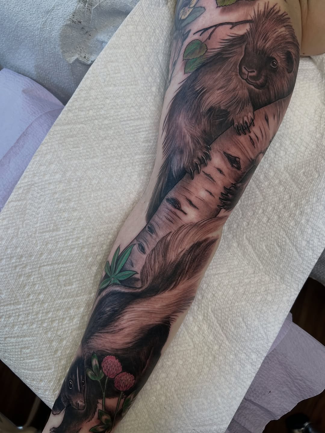 shawn_hebrank