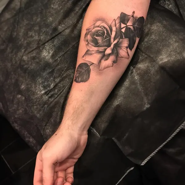 Flower, Rose