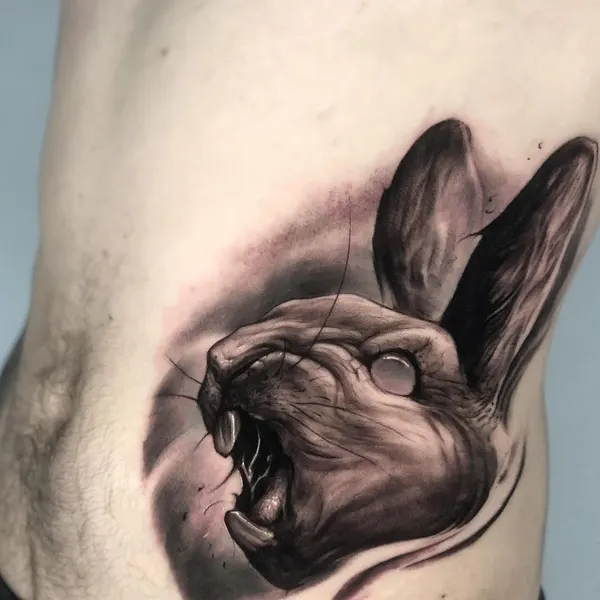 Animal