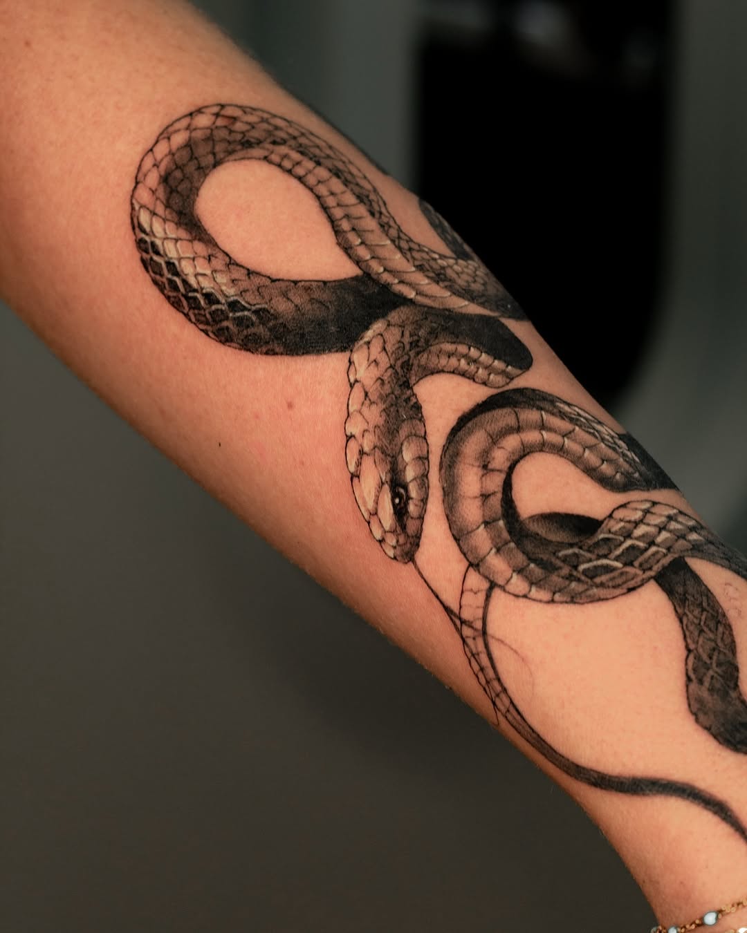 Snake