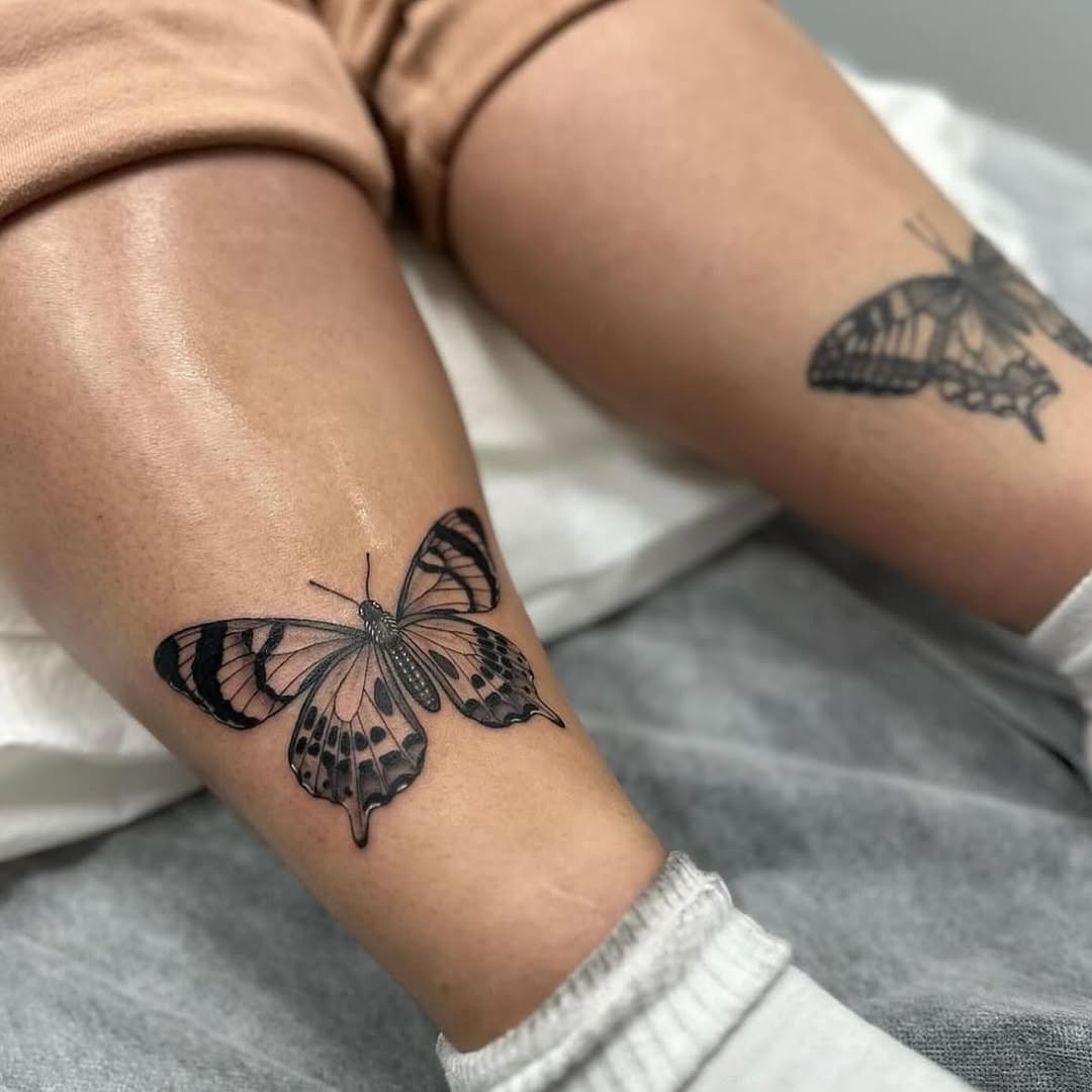 Animal, Nature