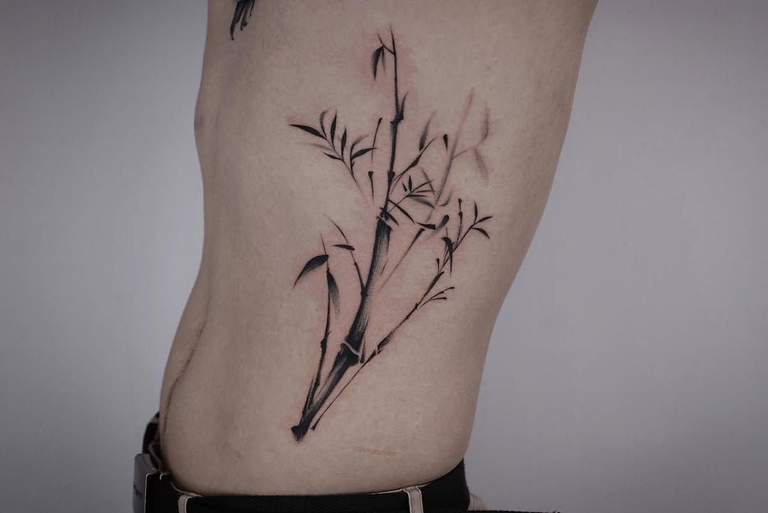 Rose, Nature, Flower