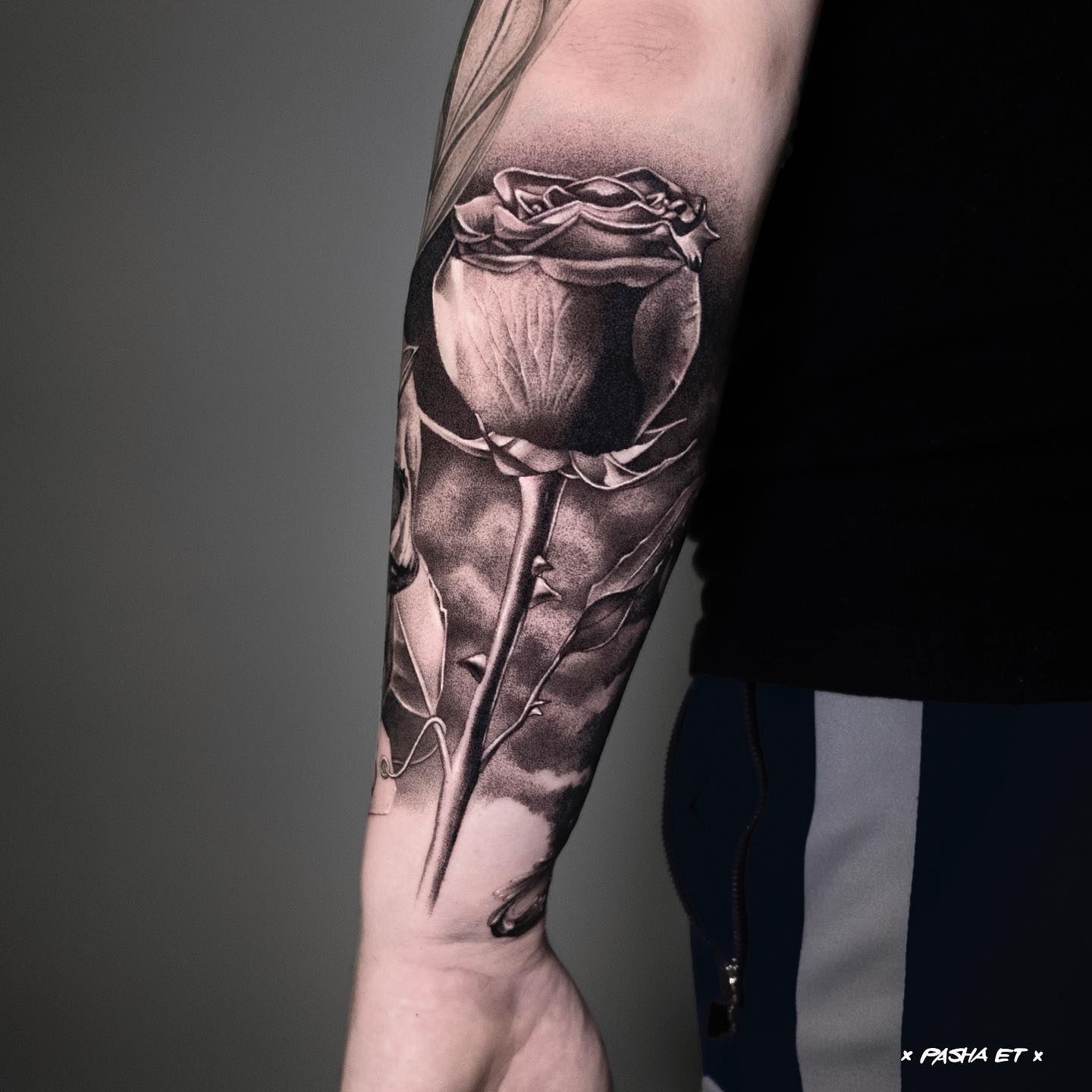 Flower, Rose, Nature