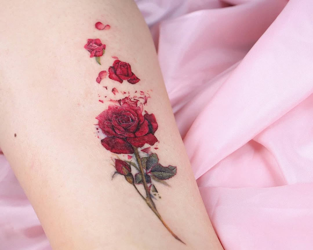 Flower, Rose