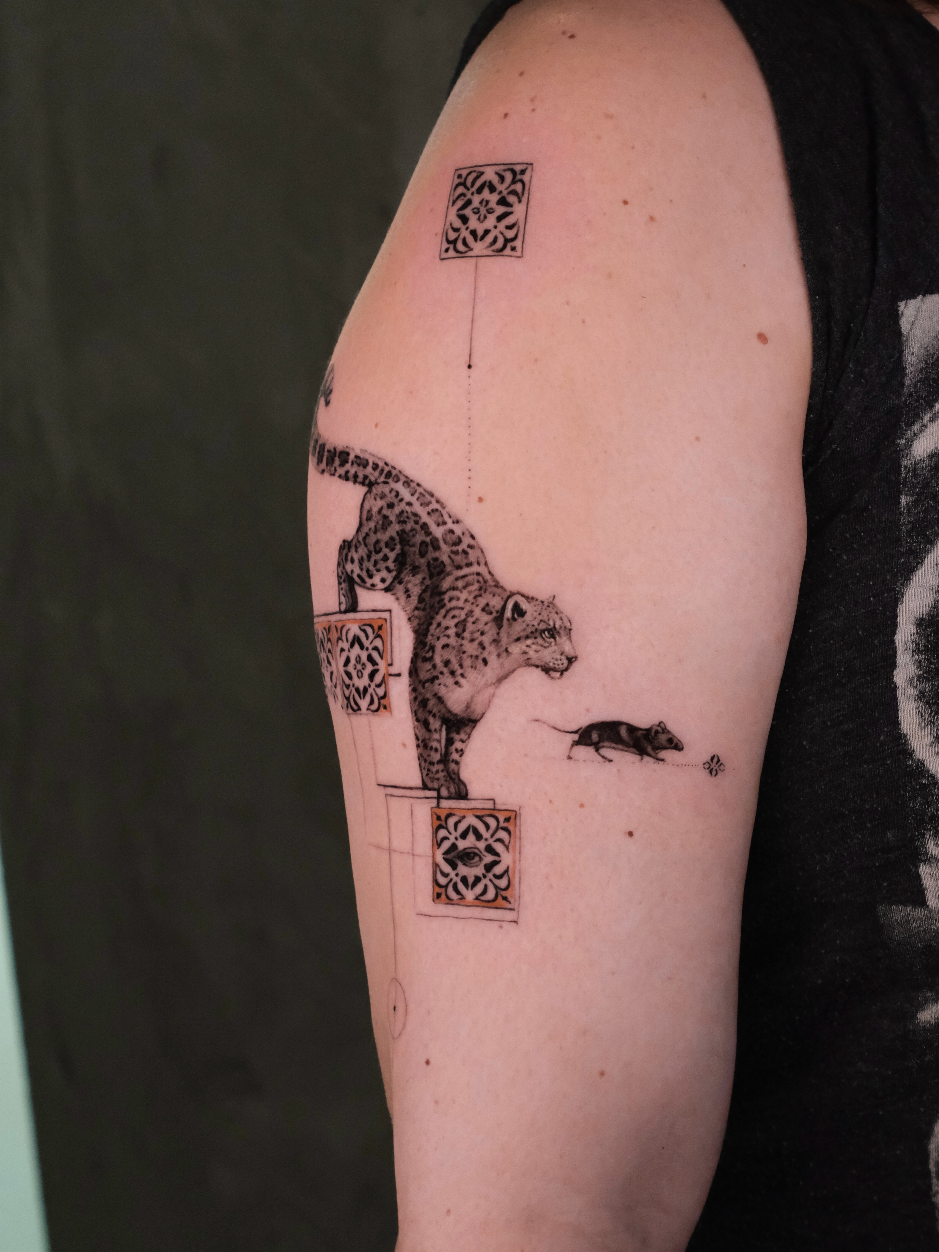 Animal, Tiger, 표범, 치타