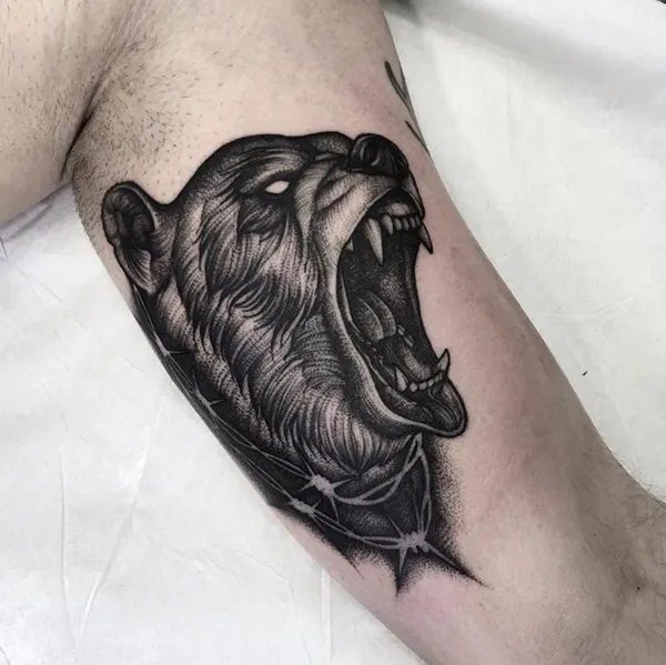 Animal, Tiger