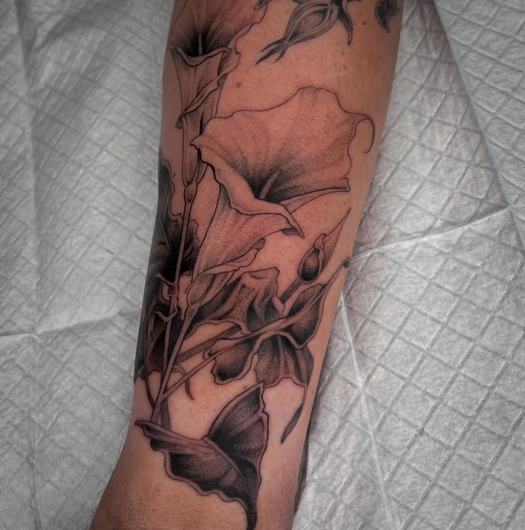 Rose, Flower