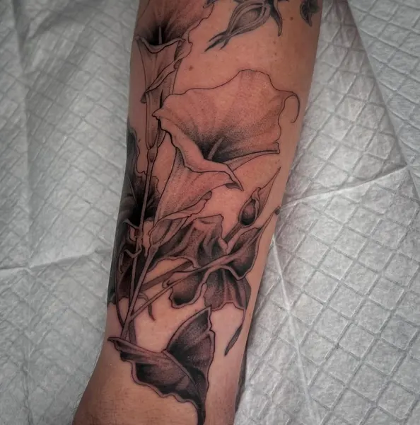 Rose, Flower