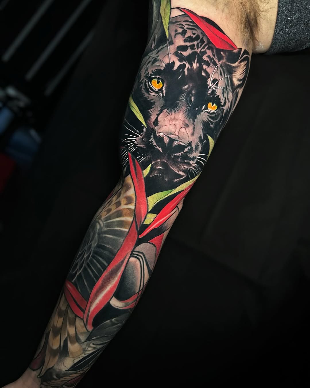 Tiger, Animal