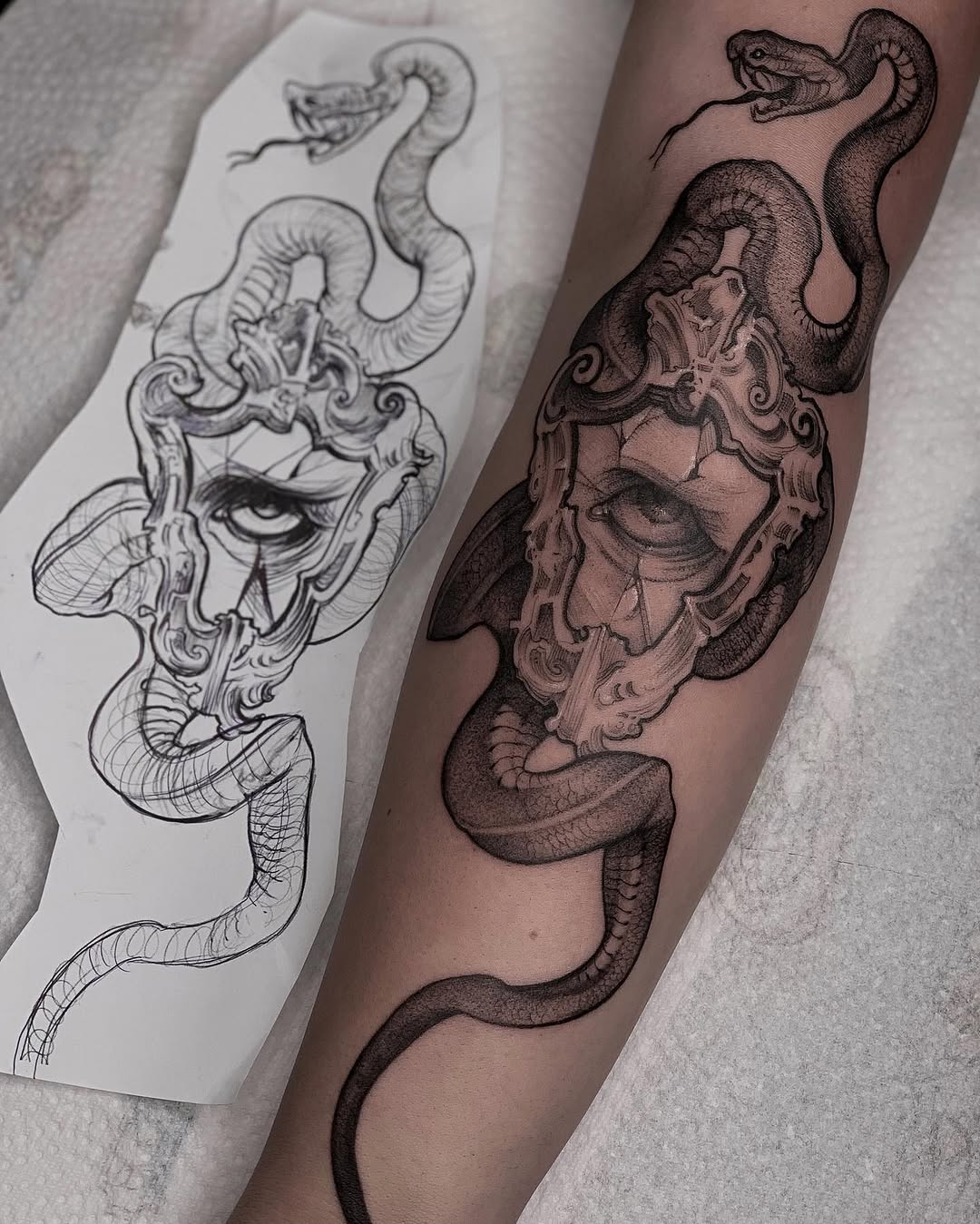 Animal, Dragon
