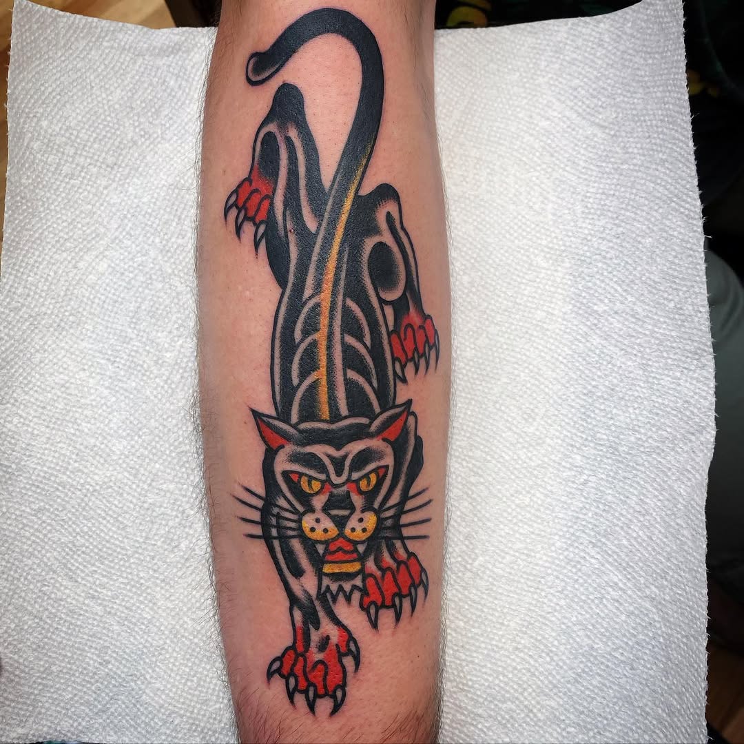 Tiger, Animal