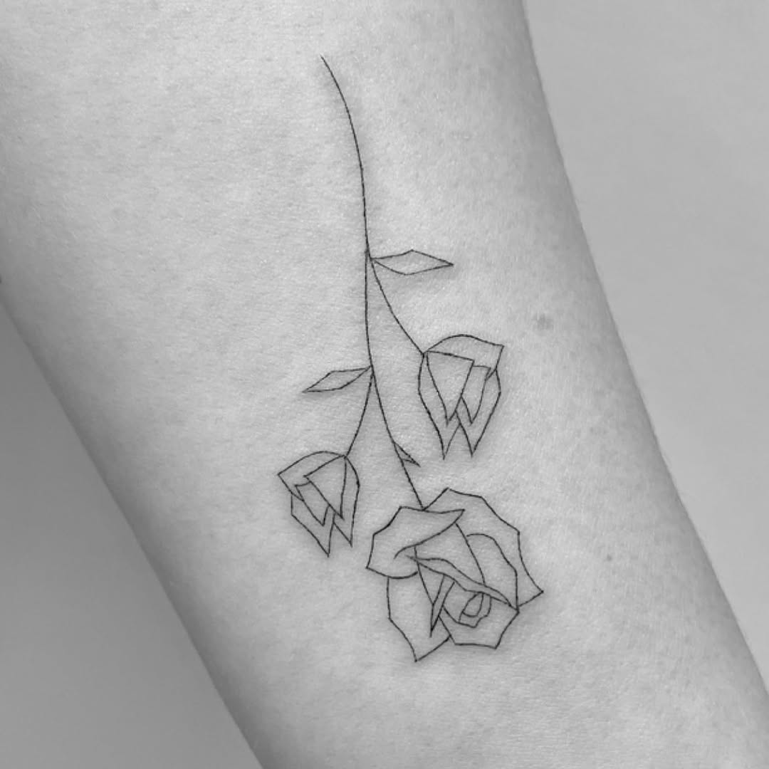 Flower, Rose