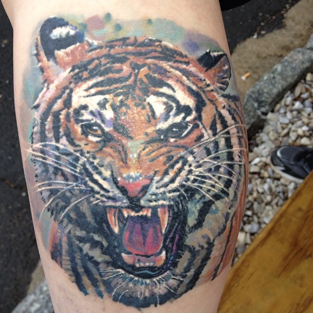 Tiger