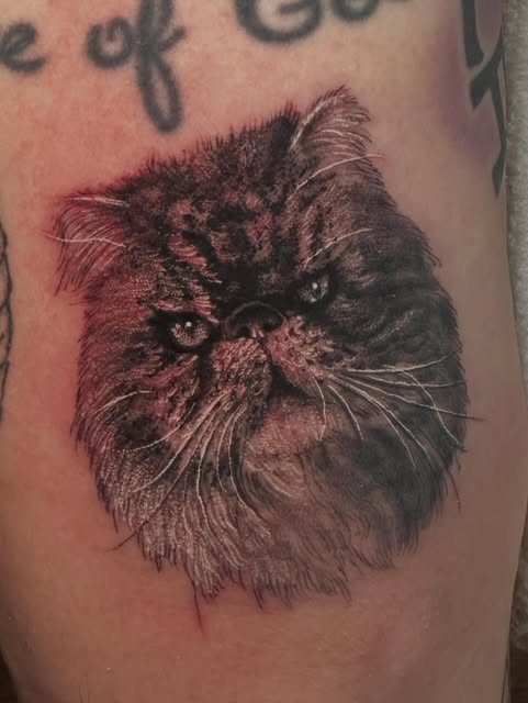 Animal