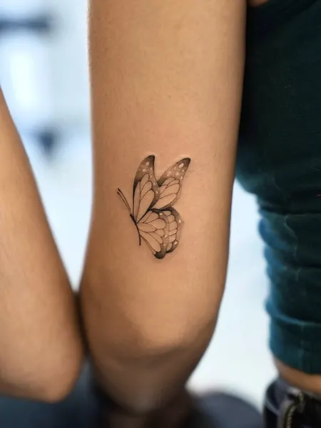 Animal, Nature