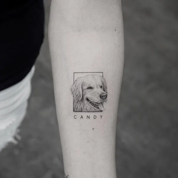 Animal