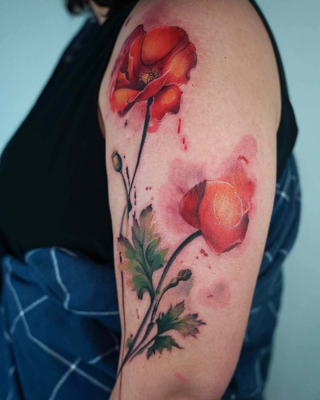 Flower, Rose, 양귀비