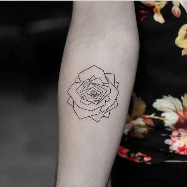 Flower, Rose