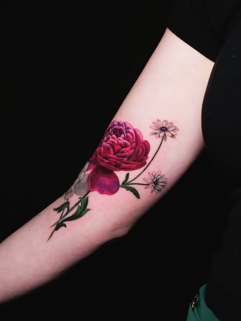 Flower, Rose, Nature