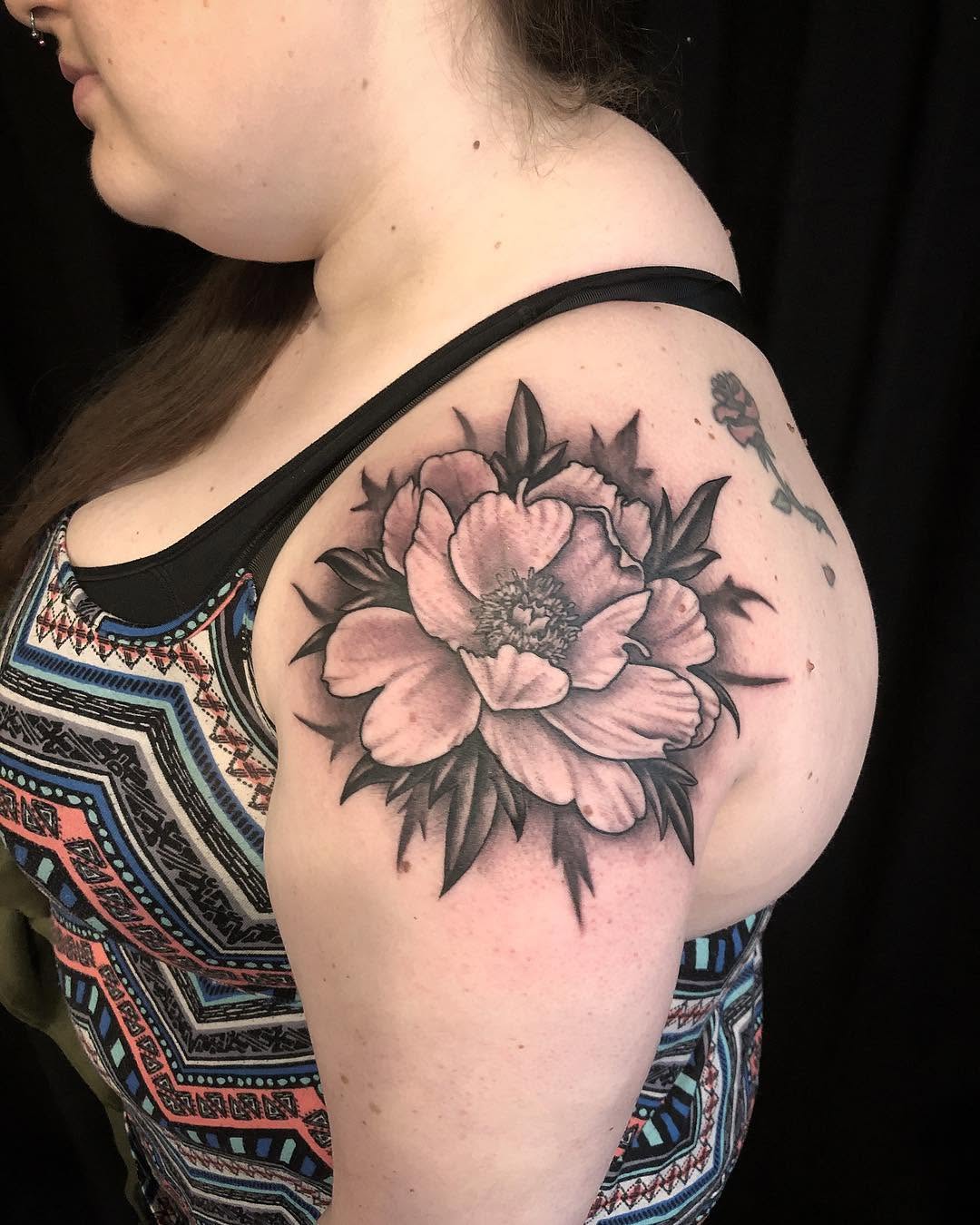 Flower, Rose, Nature