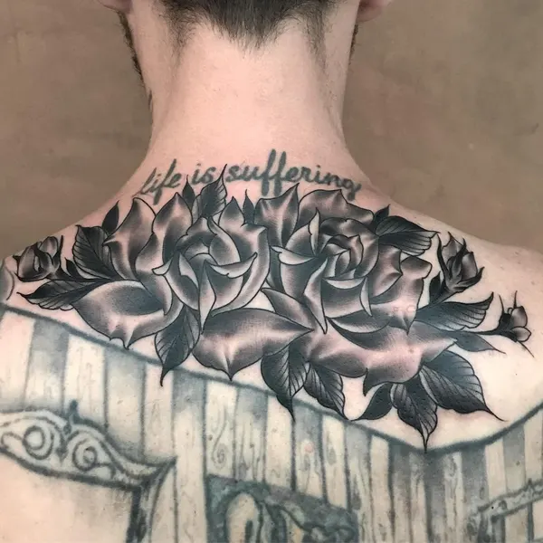 Flower, Rose, Nature