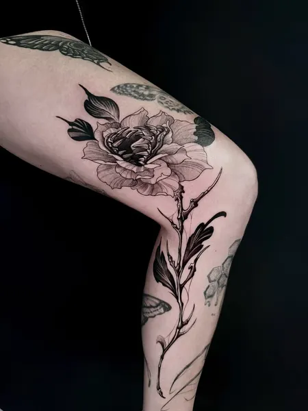 Flower, Rose