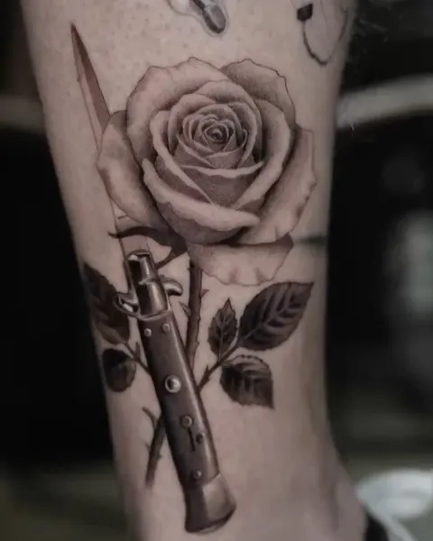 Flower, Rose